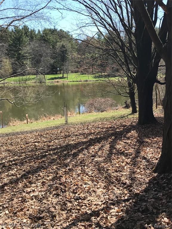 20 Ac V/l Curdy Road Howell, MI 48855 - Photo 10 of 11
