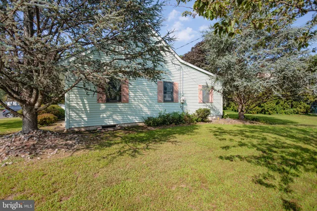 a backyard of a house with plants and large tree