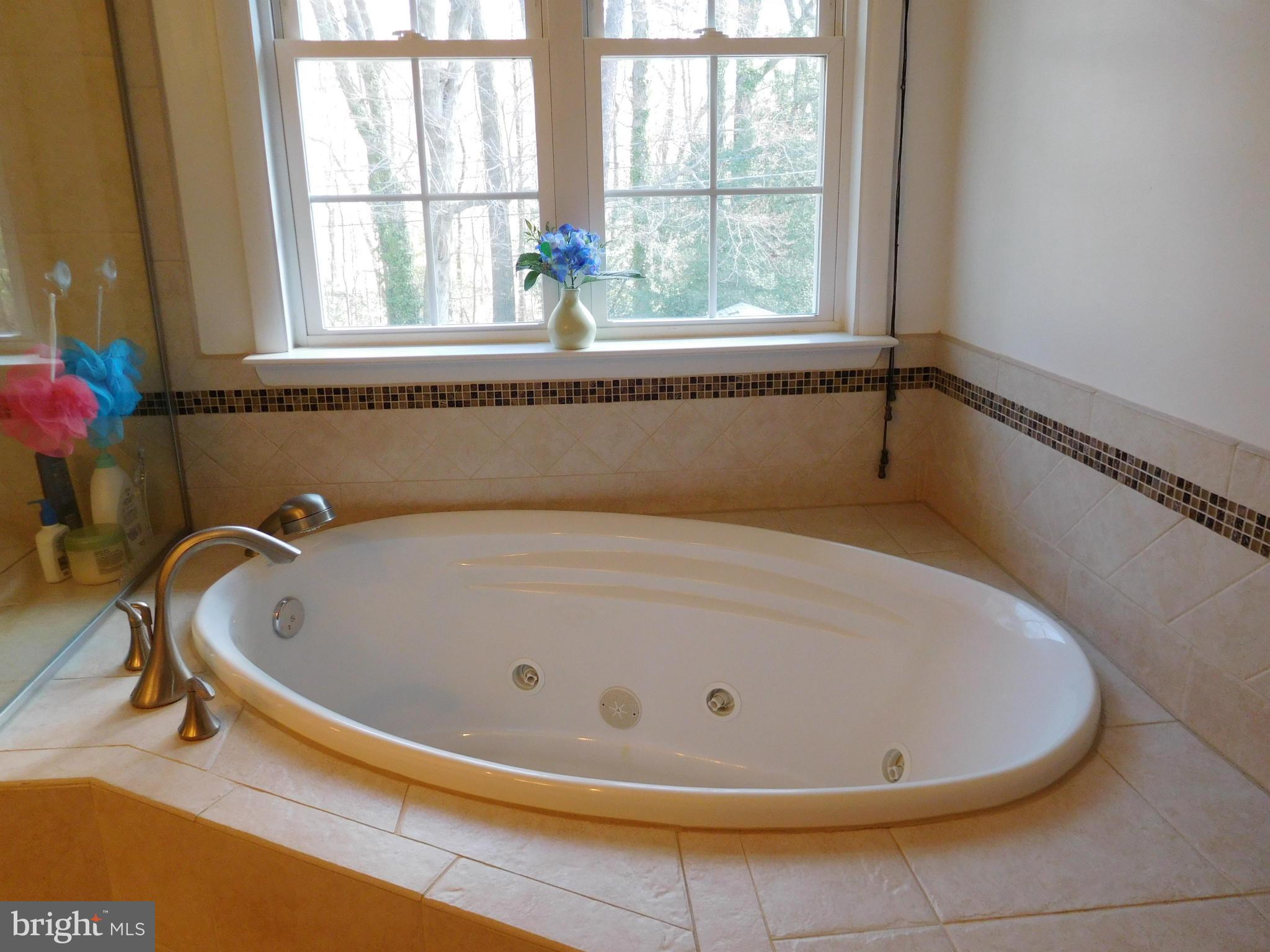 513 Maple Ridge Lane Odenton, MD 21113 - Photo 18 of 30 Bath (Master)