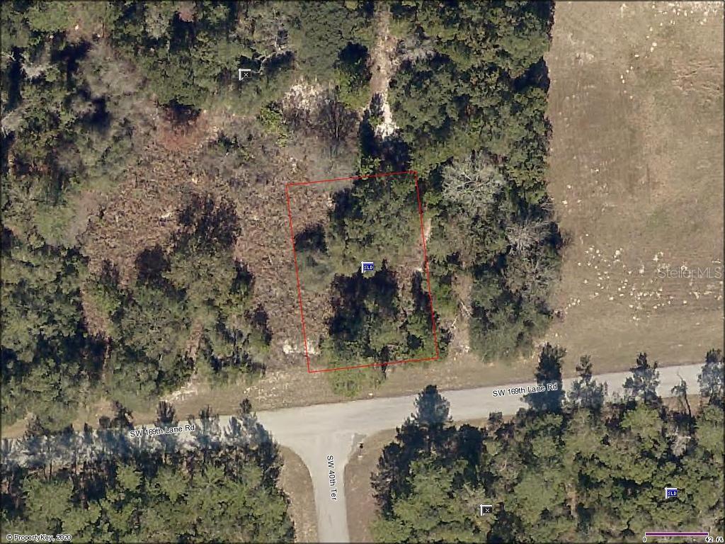 a view of a lake with large trees