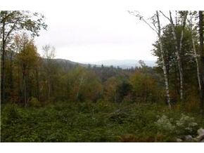 515 Townsend Brook Road Pittsfield, VT 05762 - Photo 2 of 5