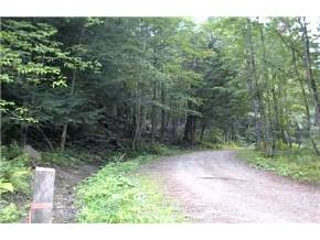 515 Townsend Brook Road Pittsfield, VT 05762 - Photo 5 of 5