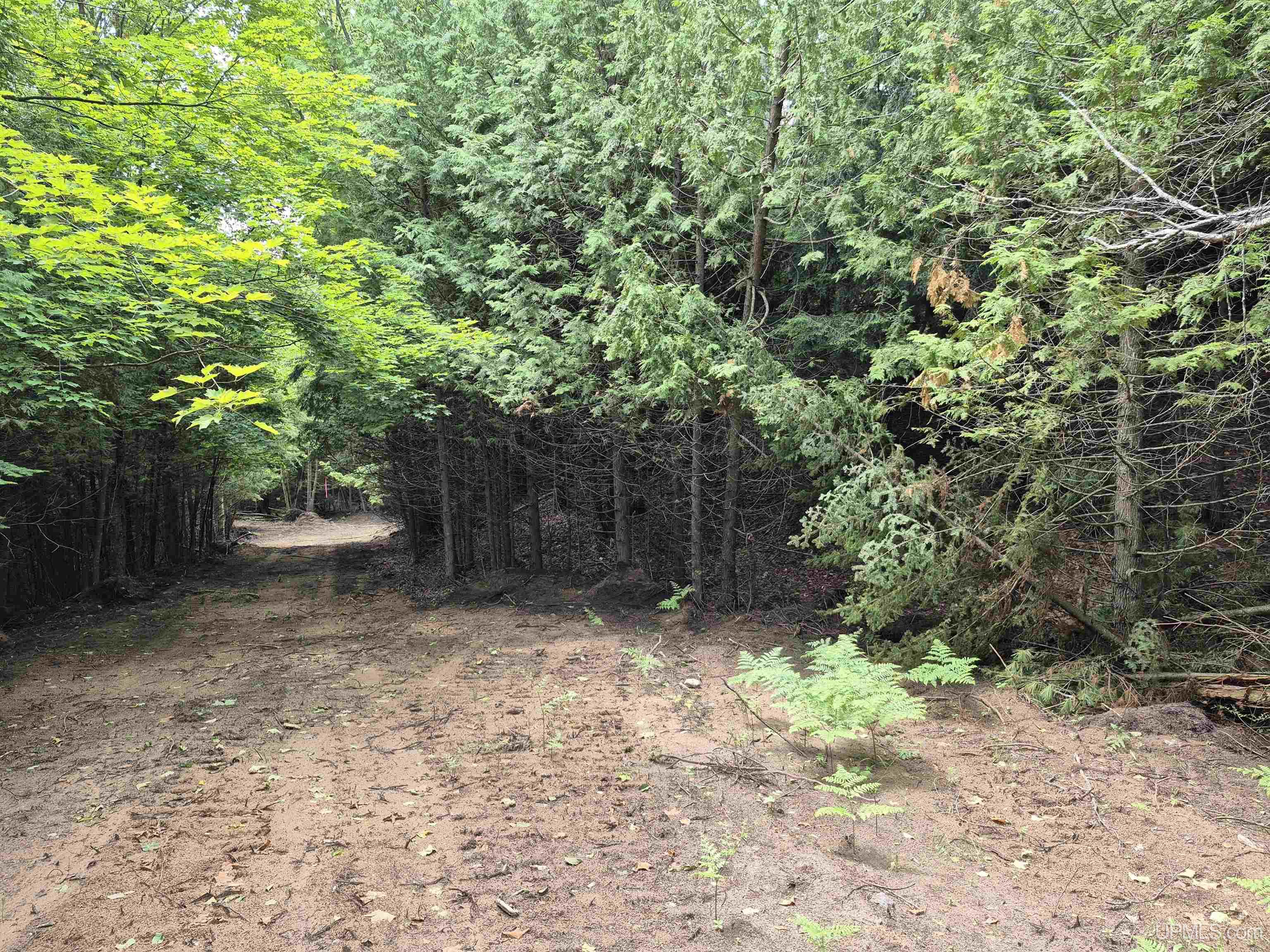 80-acres Off Little Harbor Road Manistique, MI 49854 - Photo 10 of 14 Gallery Image 10