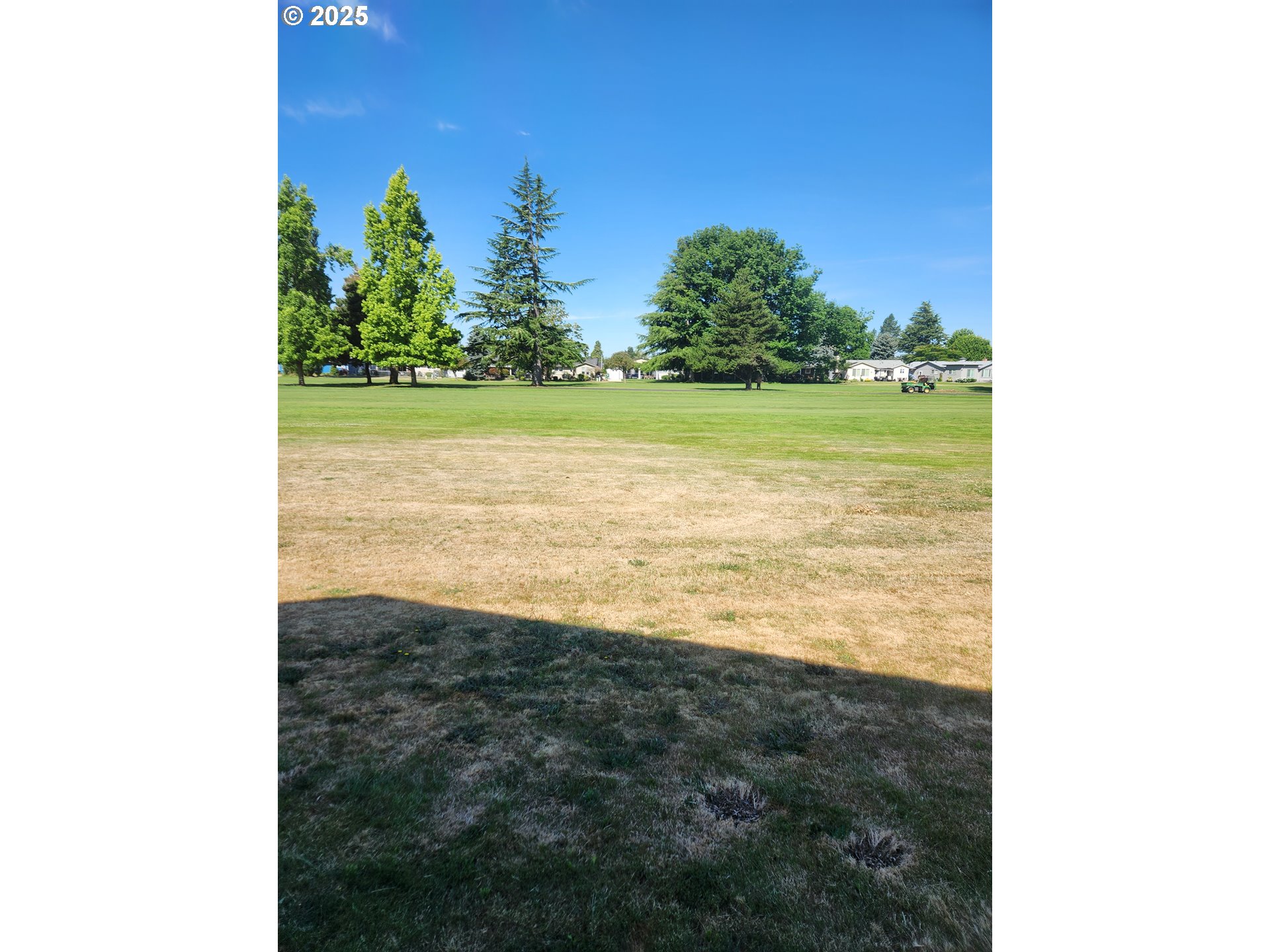 1255 Princeton Road Woodburn, OR 97071 - Photo 10 of 33 Backyard