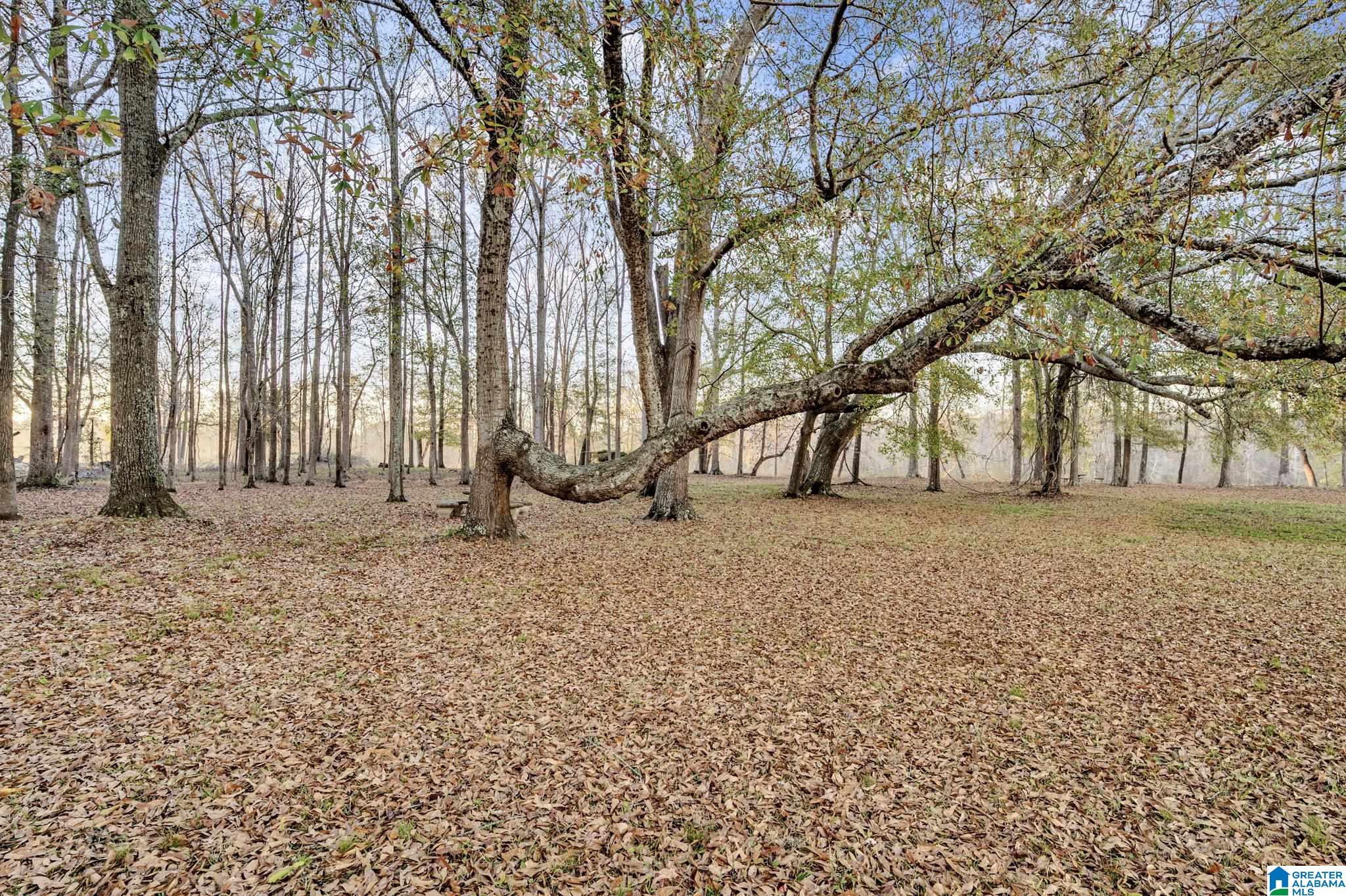 135 River Run Road Childersburg, AL 35044 - Photo 34 of 40