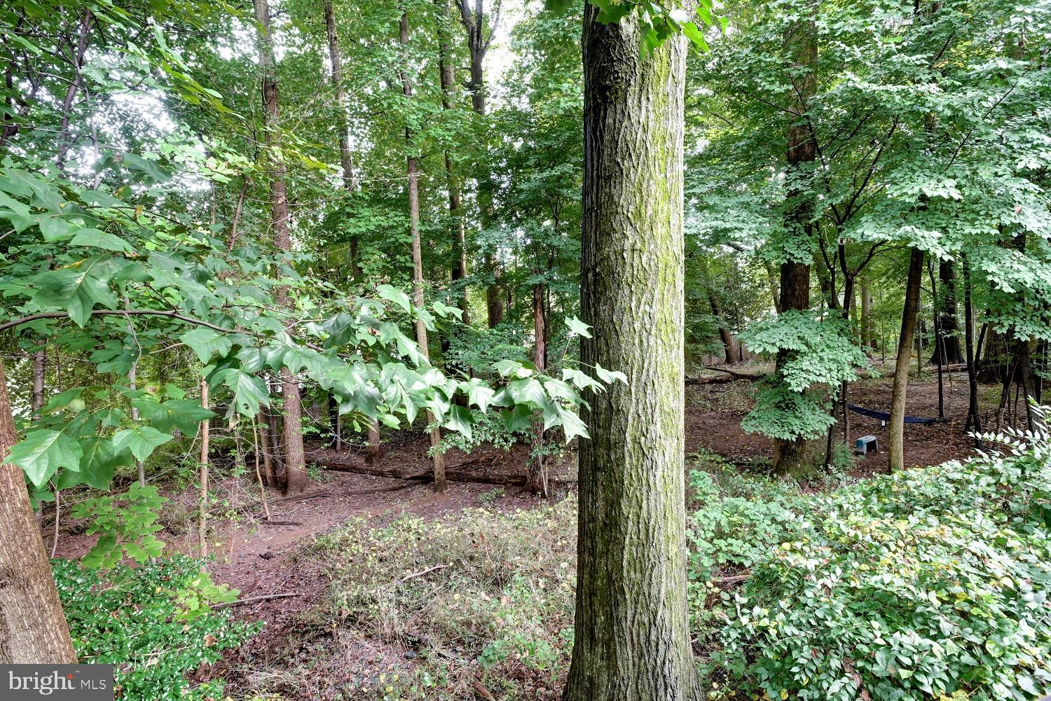 2058 Derby Ridge Lane, Unit 314 Silver Spring, MD 20910 - Photo 11 of 33 View from Deck