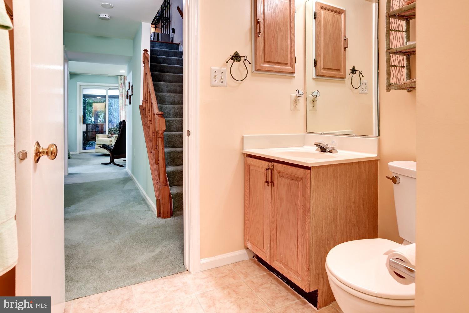 2058 Derby Ridge Lane, Unit 314 Silver Spring, MD 20910 - Photo 24 of 33 Lower Level Bathroom
