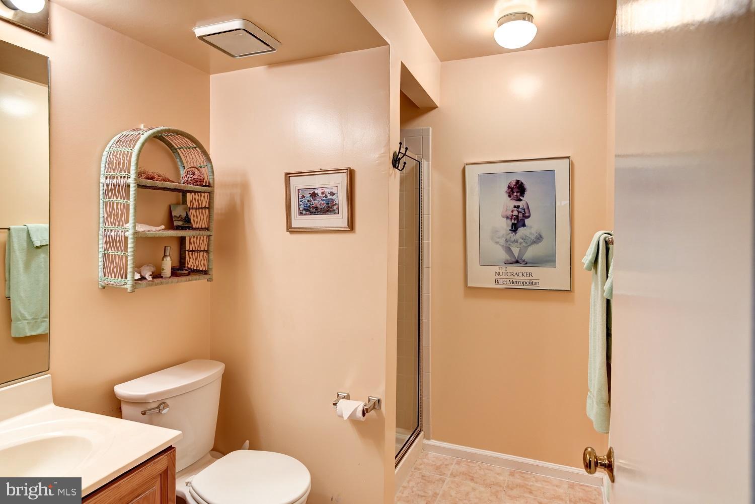 2058 Derby Ridge Lane, Unit 314 Silver Spring, MD 20910 - Photo 25 of 33 Lower Level Bathroom