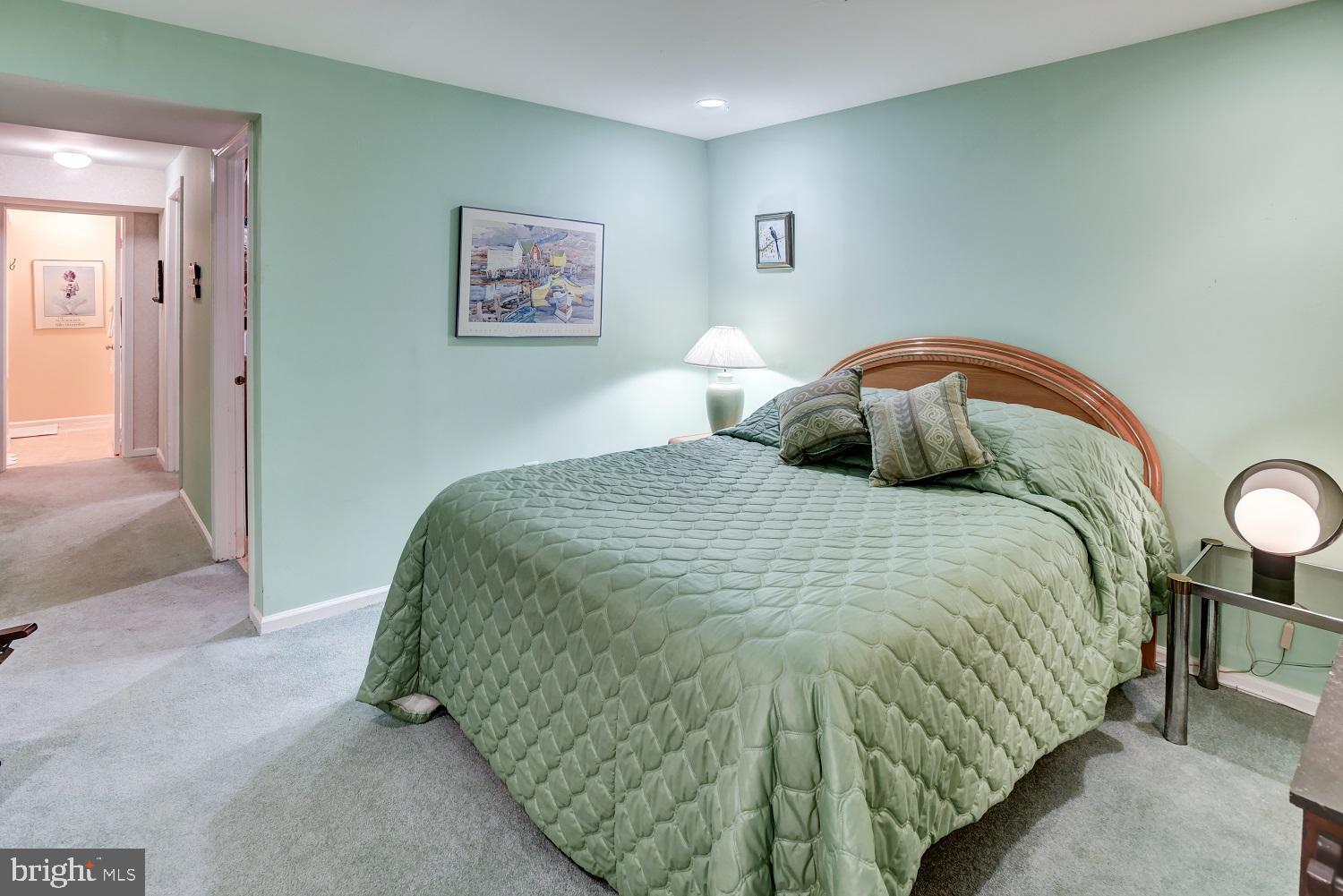 2058 Derby Ridge Lane, Unit 314 Silver Spring, MD 20910 - Photo 27 of 33 Owner's Bedroom