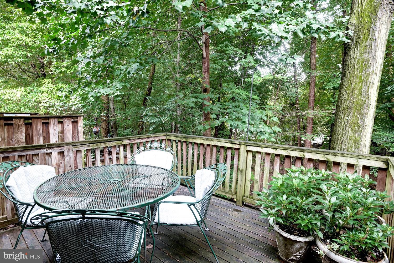 2058 Derby Ridge Lane, Unit 314 Silver Spring, MD 20910 - Photo 10 of 33 Deck