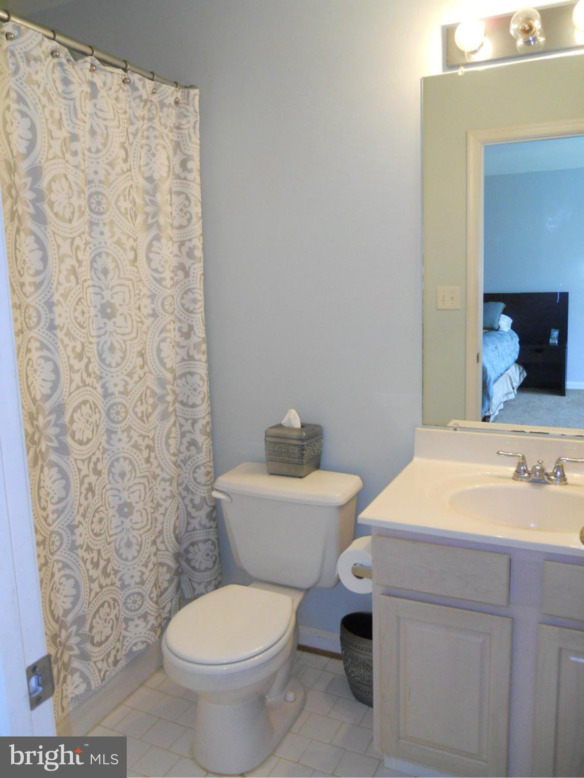 239 Carolstowne Road Reisterstown, MD 21136 - Photo 12 of 29 Master Bath with tub and shower
