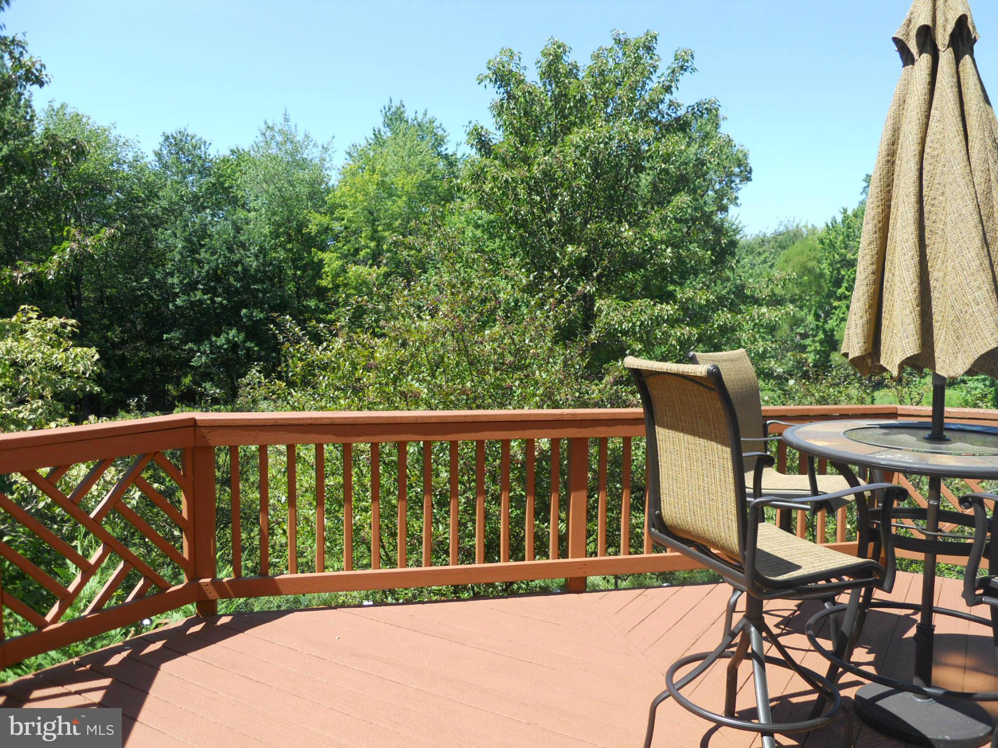 239 Carolstowne Road Reisterstown, MD 21136 - Photo 23 of 29 View from deck.