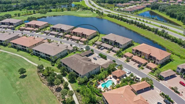 a view of a swimming pool with a garden and plants