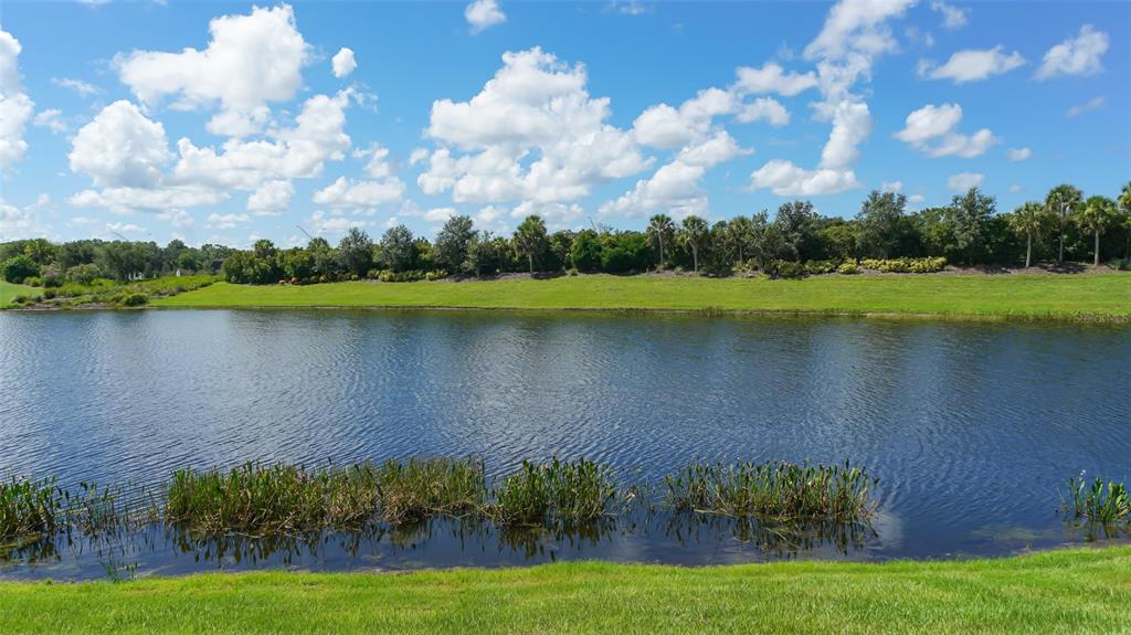 13720 Messina Loop, Unit 103 Bradenton, FL 34211 - Photo 4 of 84