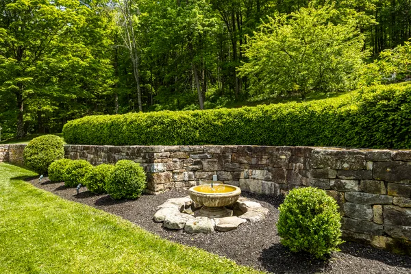 a view of a backyard with plants and outdoor seating