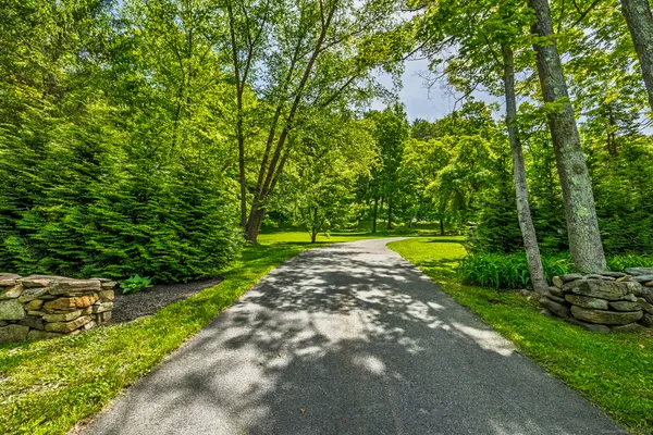 a view of a park with large trees