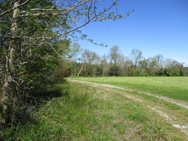 113 Martin Road, Unit 113 Danville, VA 24541 - Photo 6 of 10