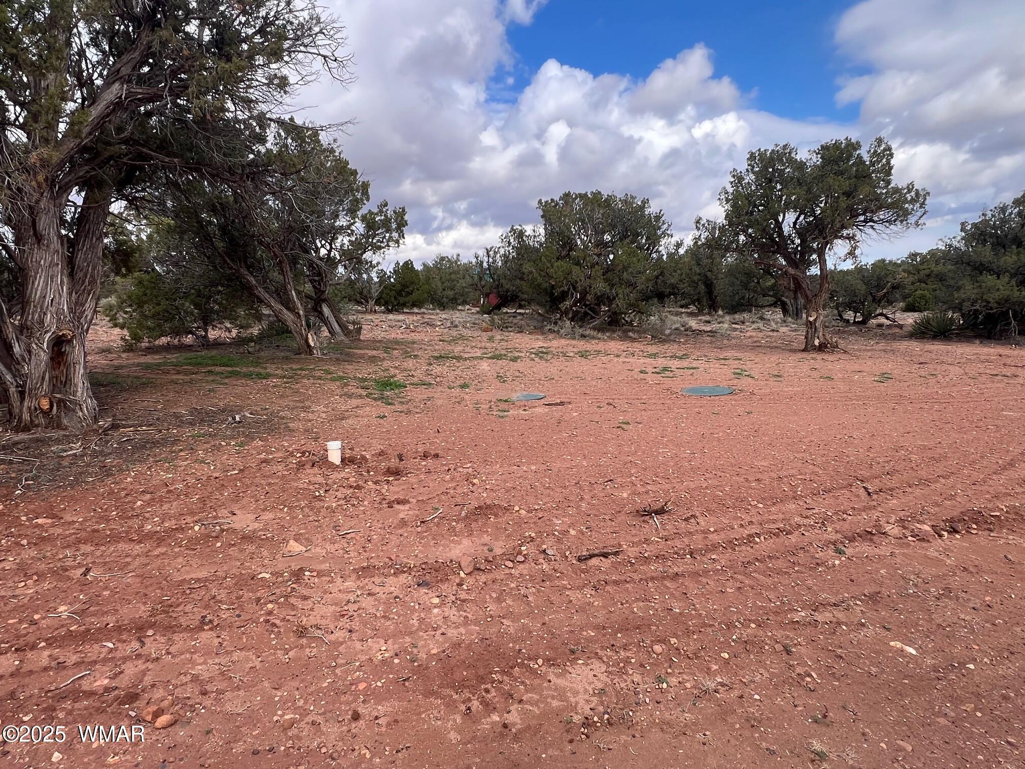 4129 Apache Road Snowflake, AZ 85937 - Photo 42 of 48 a view of dirt yard with trees