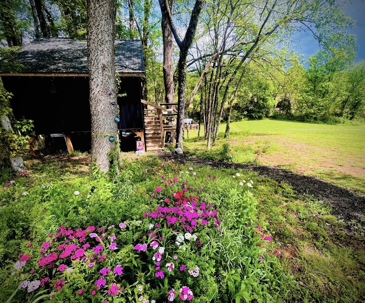 145 Gamble Street Doyle, TN 38559 - Photo 12 of 26
