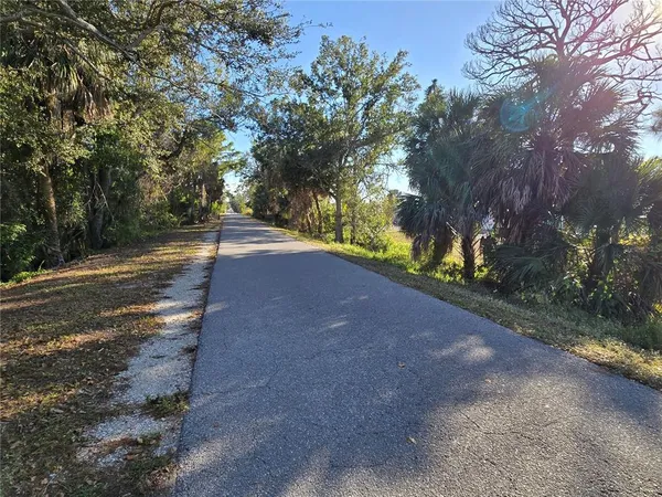 a view of a yard with a tree