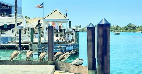 a view of a lake with a house in the background