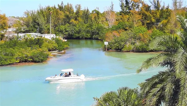a view of a park with large trees