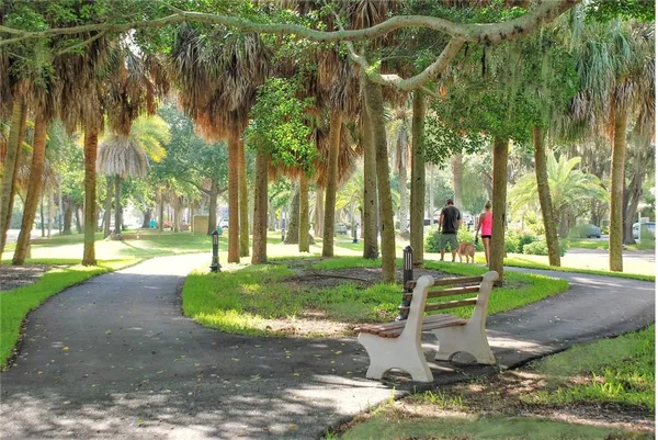 a view of a park with a big yard