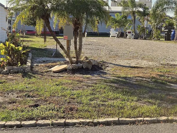 a view of yard with tree