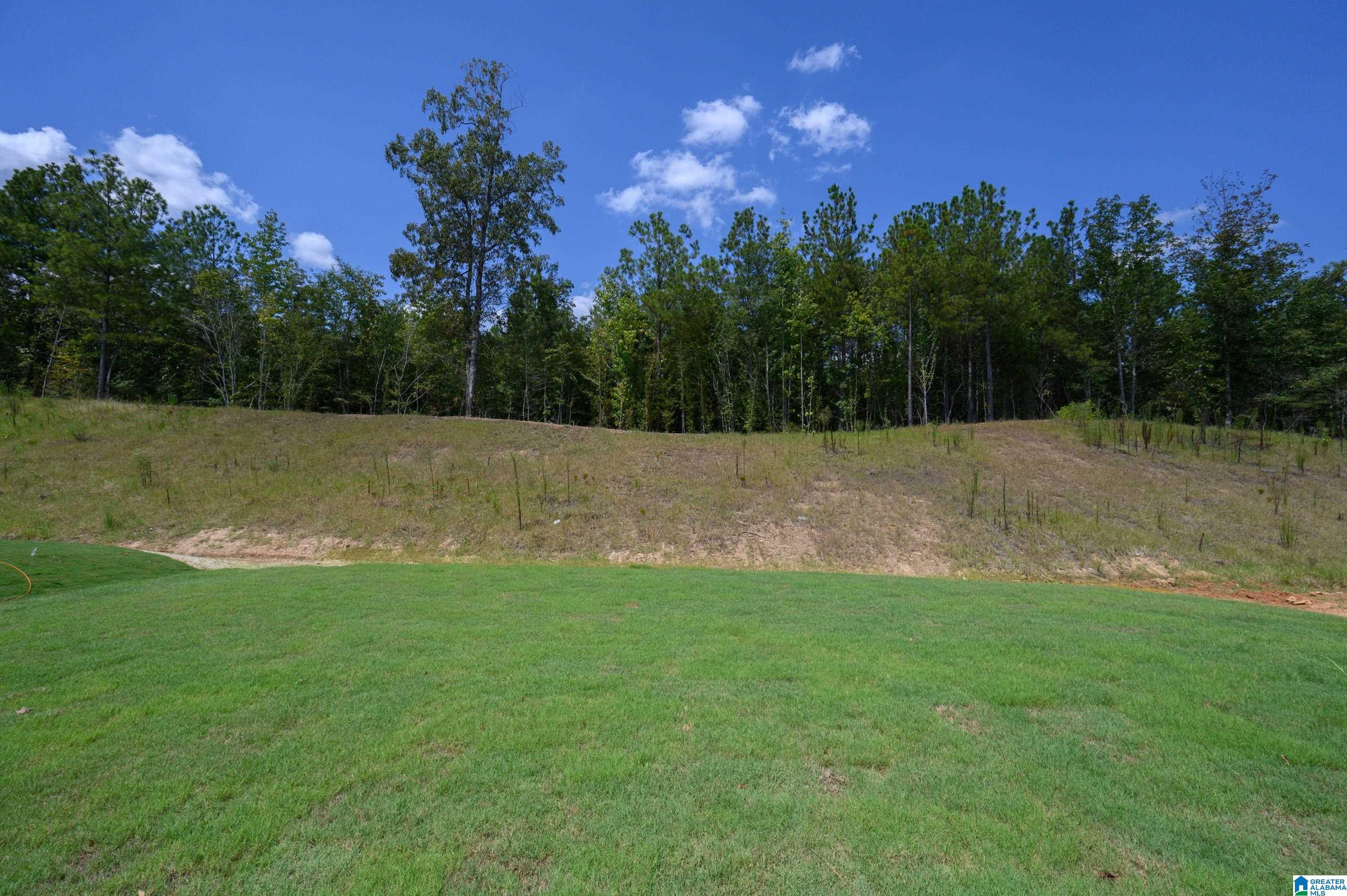 2052 Butler Road Birmingham, AL 35244 - Photo 22 of 41 Gallery Image 22