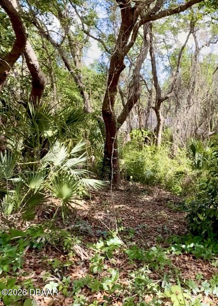 82 Calumet Avenue Ponce Inlet, FL 32127 - Photo 19 of 29 Stunning trees provide character