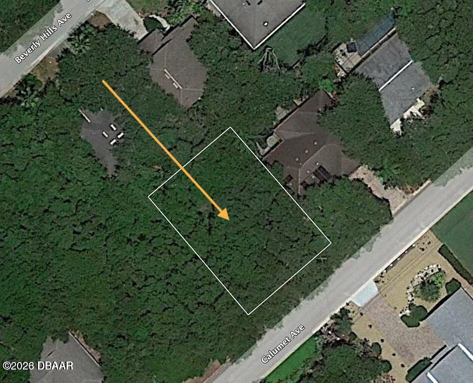 82 Calumet Avenue Ponce Inlet, FL 32127 - Photo 8 of 29 Generously sized lot 100' x 75'