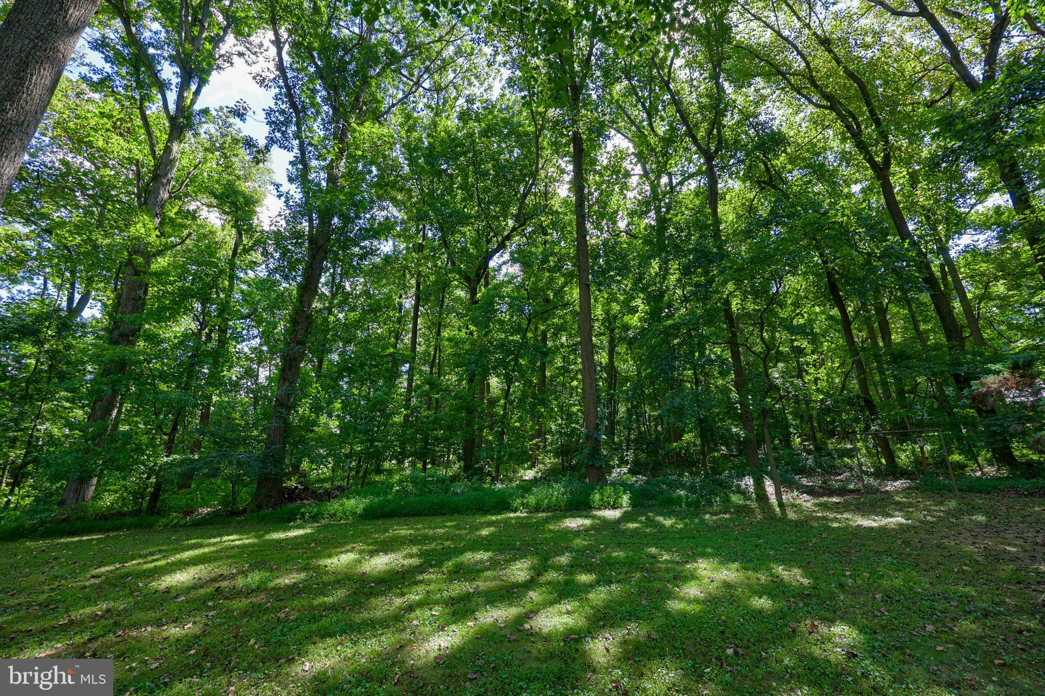 4664 Beards School Road Spring Grove, PA 17362 - Photo 44 of 50 a view of lush green forest