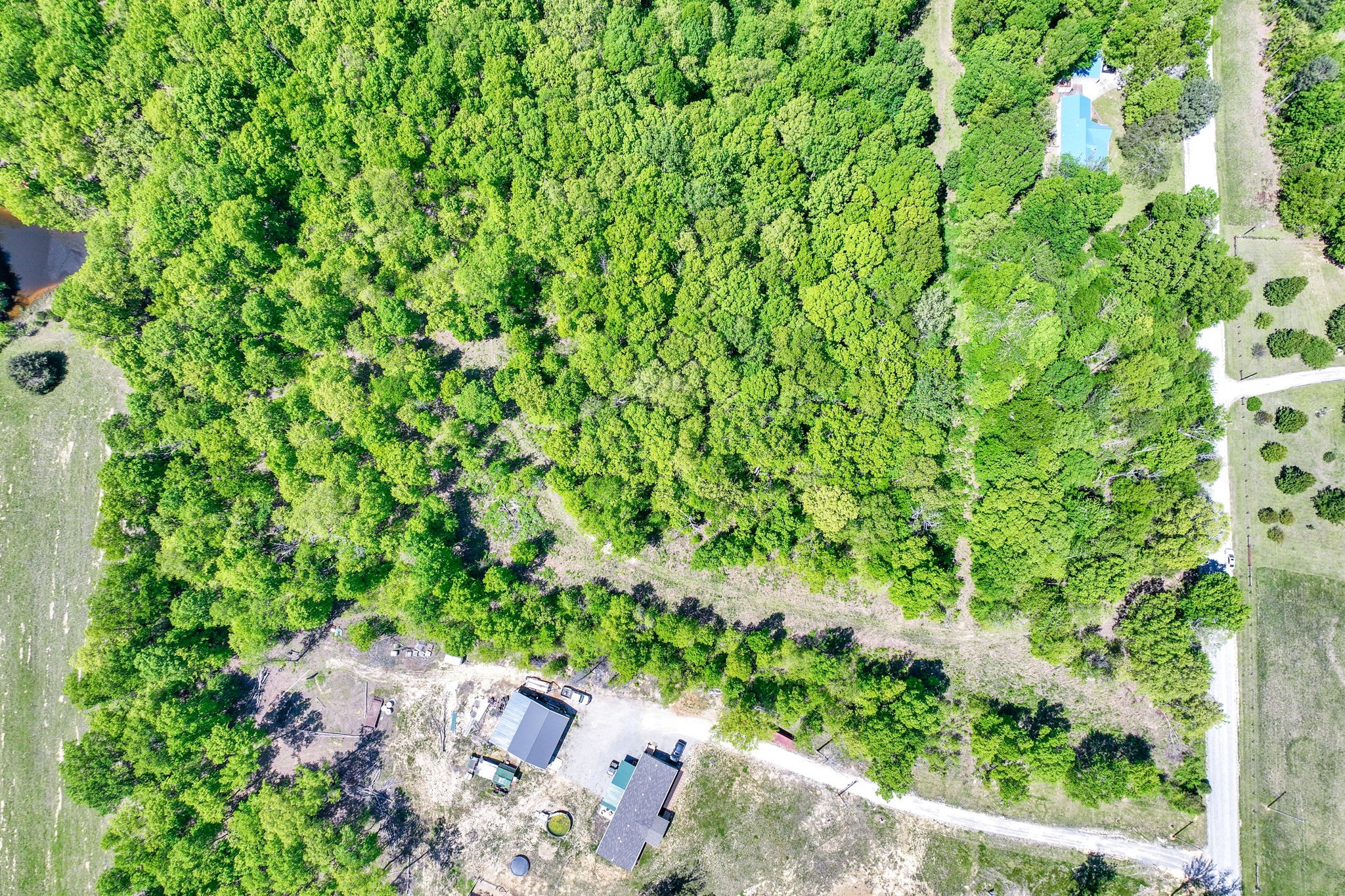 6126 Calvin Potts Road Primm Springs, TN 38476 - Photo 12 of 23 a backyard of a house with lots of green space