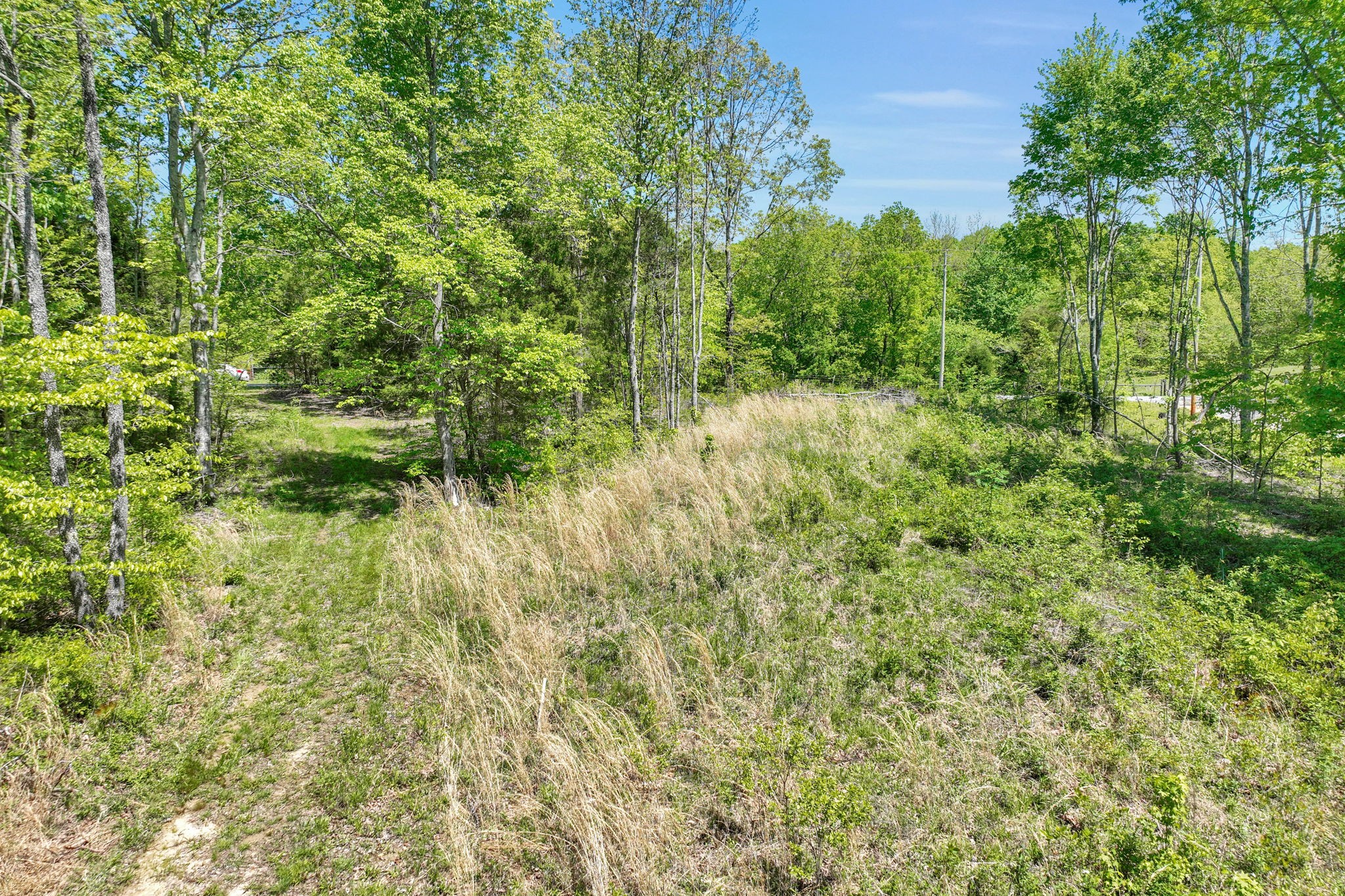 6126 Calvin Potts Road Primm Springs, TN 38476 - Photo 16 of 23 a view of a garden