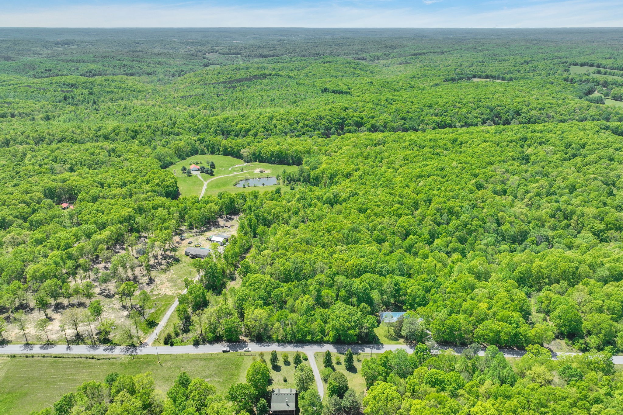 6126 Calvin Potts Road Primm Springs, TN 38476 - Photo 20 of 23 a view of a lush green field
