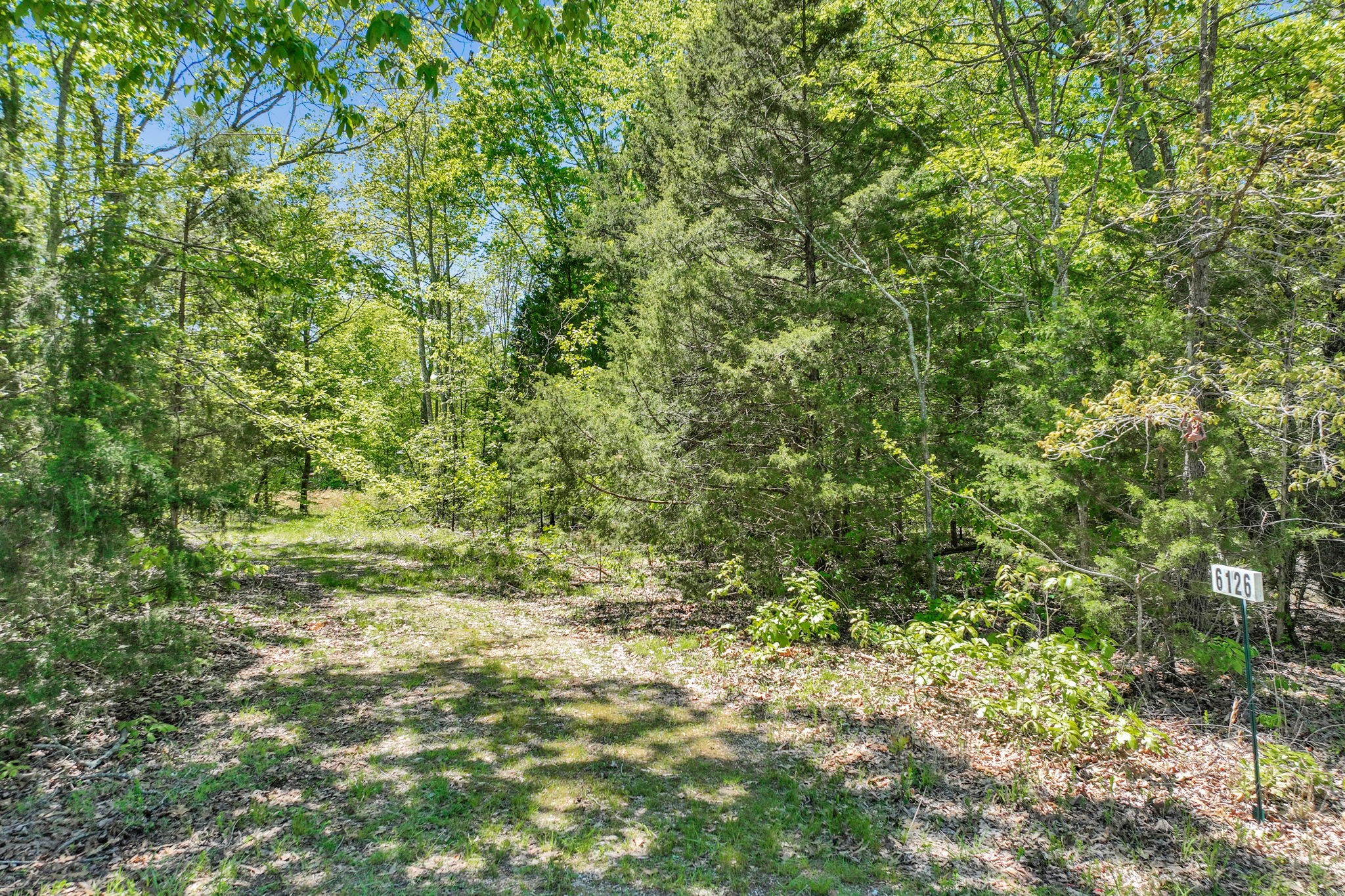 6126 Calvin Potts Road Primm Springs, TN 38476 - Photo 21 of 23 a view of a yard with a tree
