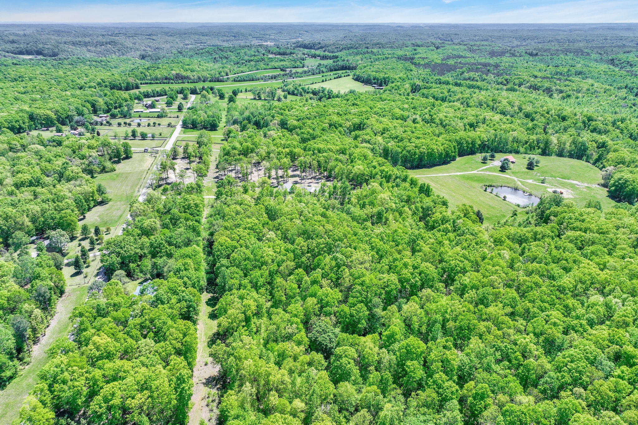 6126 Calvin Potts Road Primm Springs, TN 38476 - Photo 3 of 23 a view of a lush green field with lots of bushes