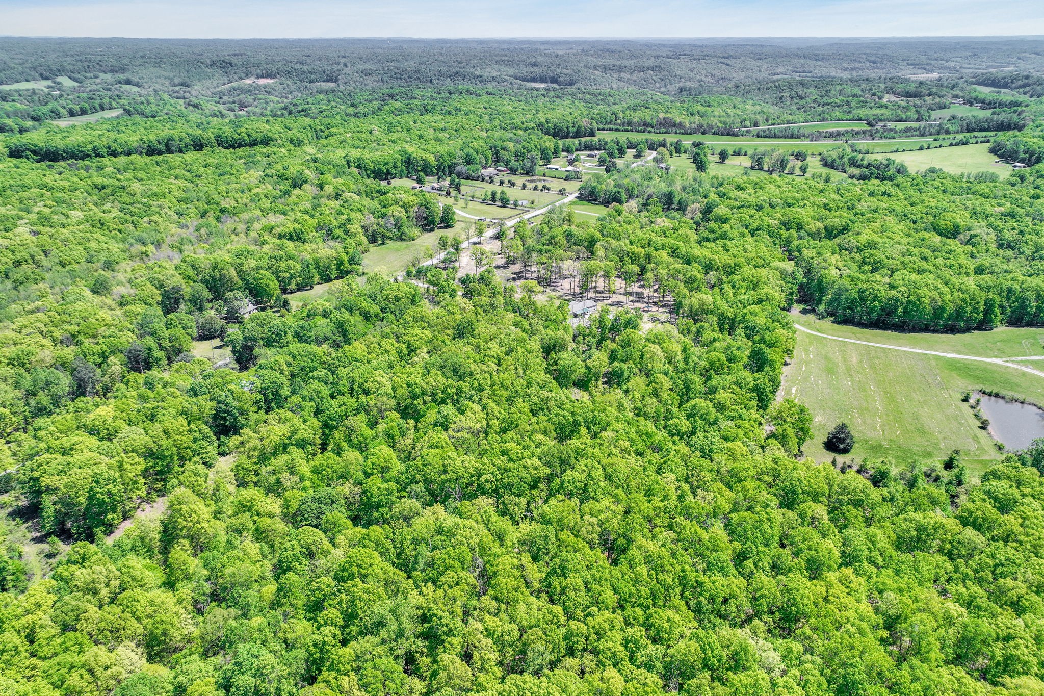 6126 Calvin Potts Road Primm Springs, TN 38476 - Photo 4 of 23 a view of a lush green field with lots of bushes