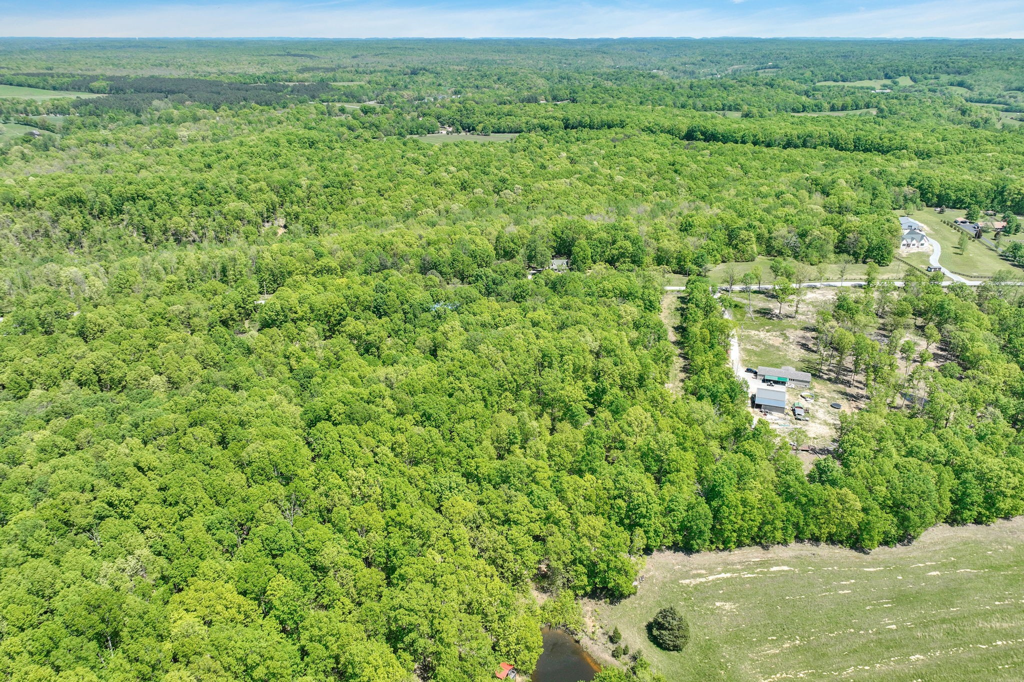 6126 Calvin Potts Road Primm Springs, TN 38476 - Photo 6 of 23 a view of a big yard with lots of green space and deers