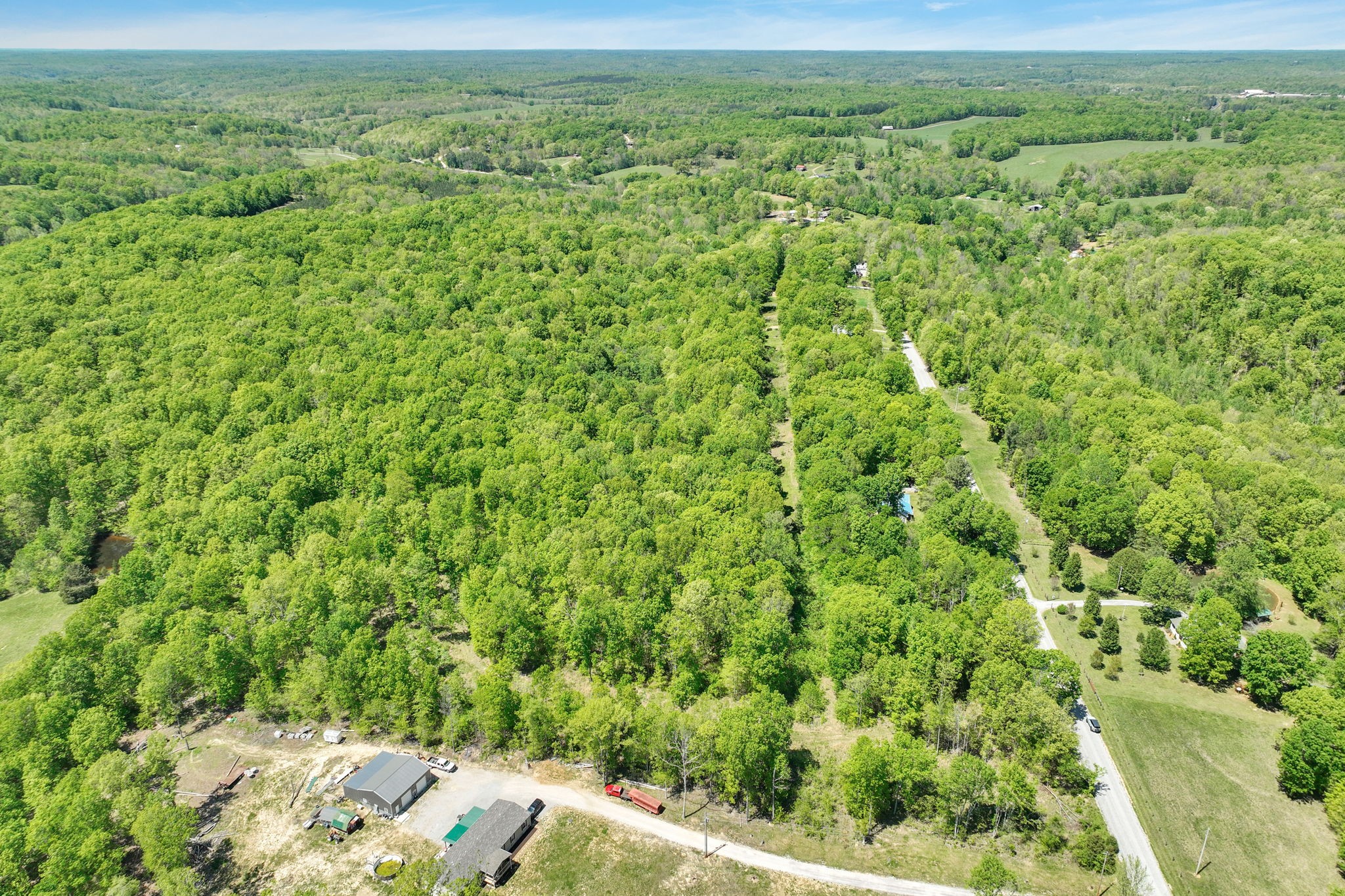 6126 Calvin Potts Road Primm Springs, TN 38476 - Photo 9 of 23 a view of a lush green forest with a sink and a yard
