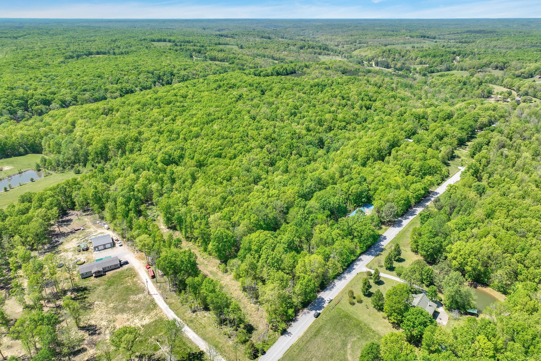 6126 Calvin Potts Road Primm Springs, TN 38476 - Photo 10 of 23 a view of a lush green forest with lots of trees