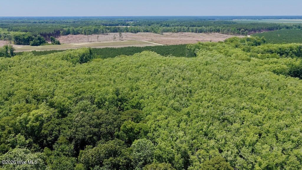 500 Indian Trail Road Edenton, NC 27932 - Photo 31 of 60