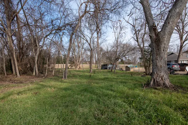 a view of a park with large trees