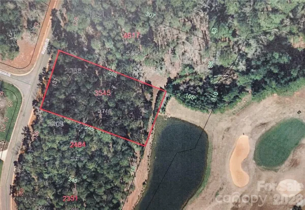 a view of a yard with large tree