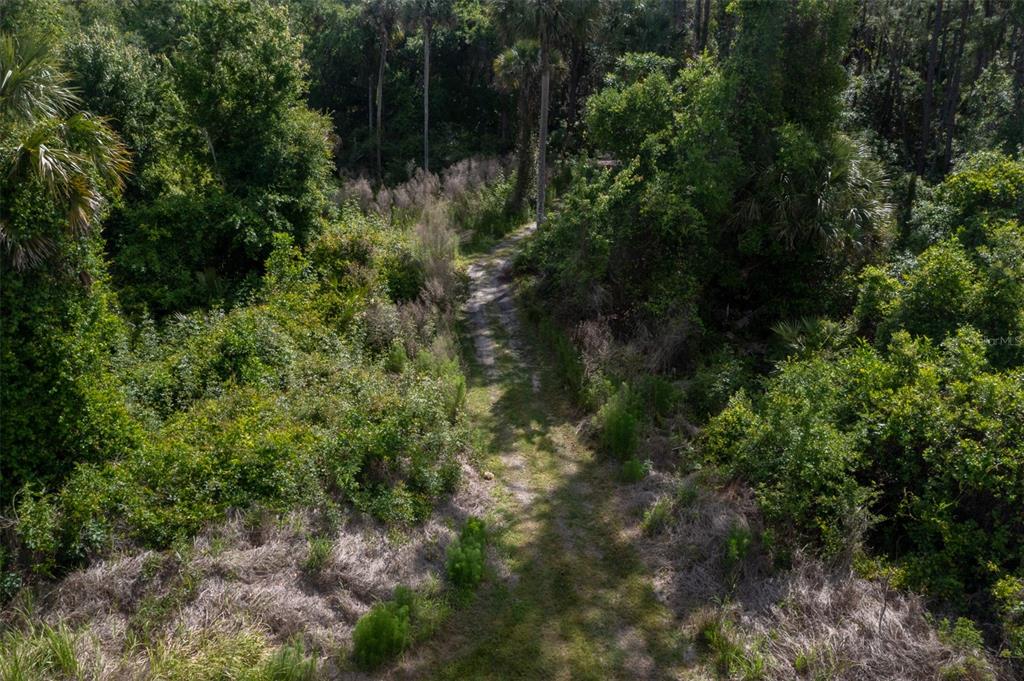 1851 Maytown Road Oak Hill, FL 32759 - Photo 56 of 56