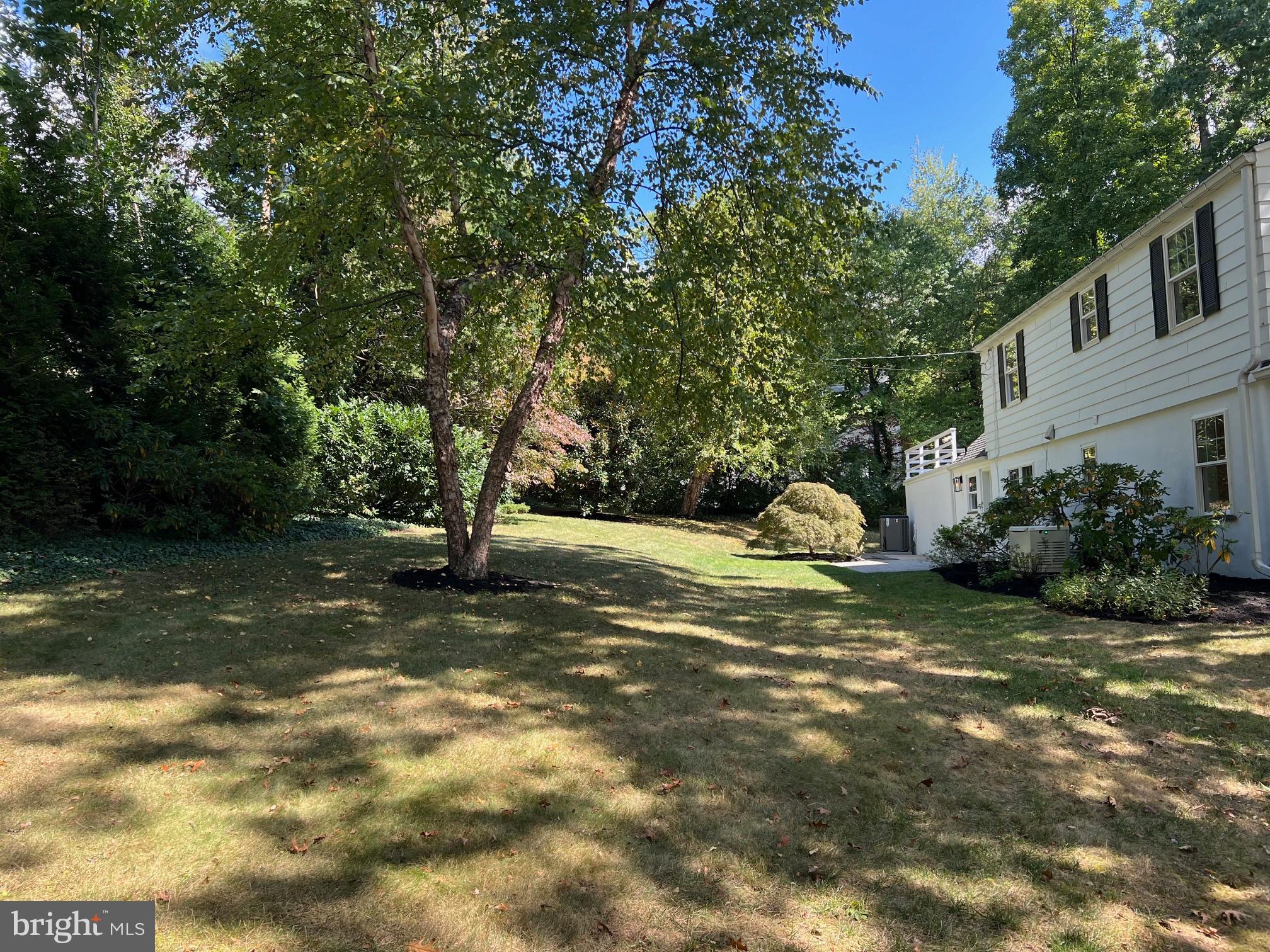 807 Eagle Road Wayne, PA 19087 - Photo 66 of 75 view of rear large yard