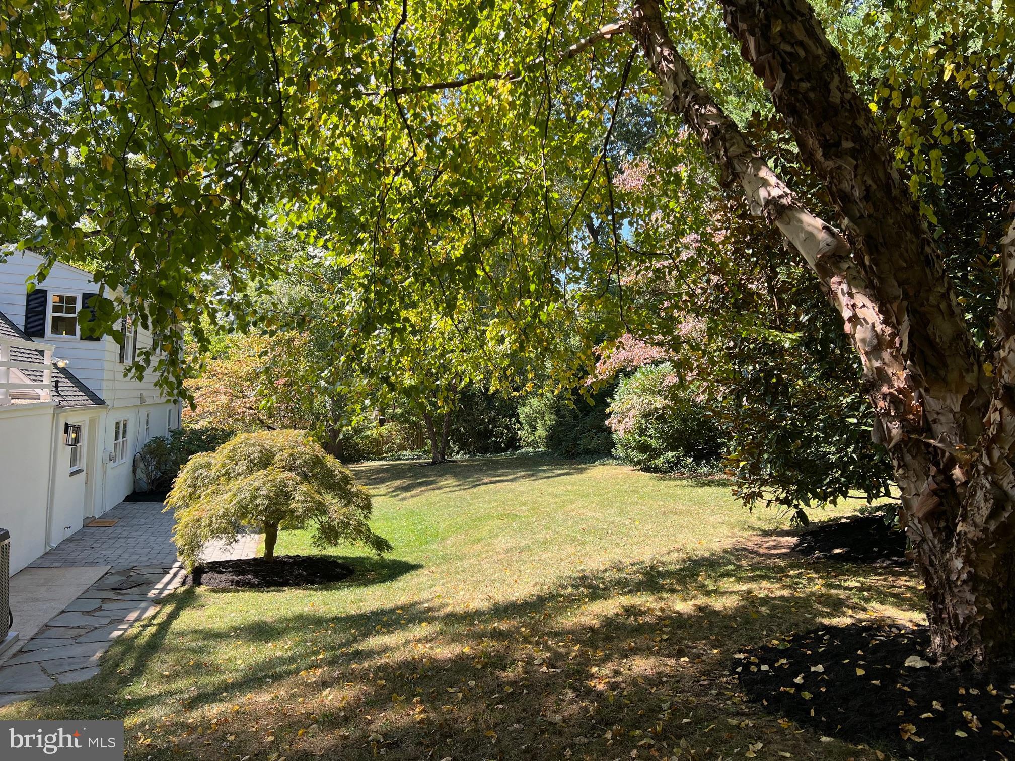 807 Eagle Road Wayne, PA 19087 - Photo 68 of 75 view of rear yard