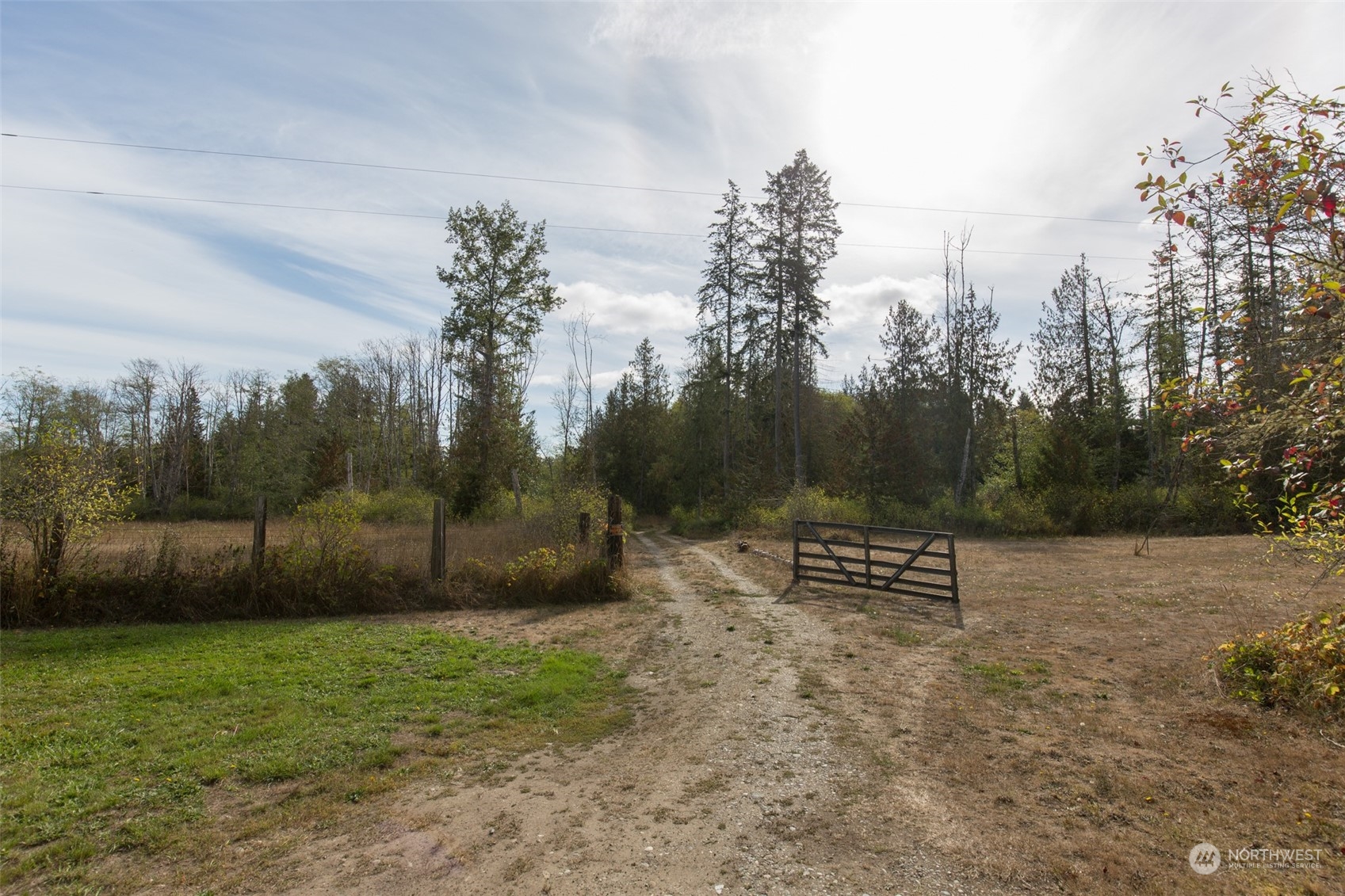 197 Jay Robinson Road Sequim, WA 98382 - Photo 2 of 40 a view of outdoor space with garden and trees