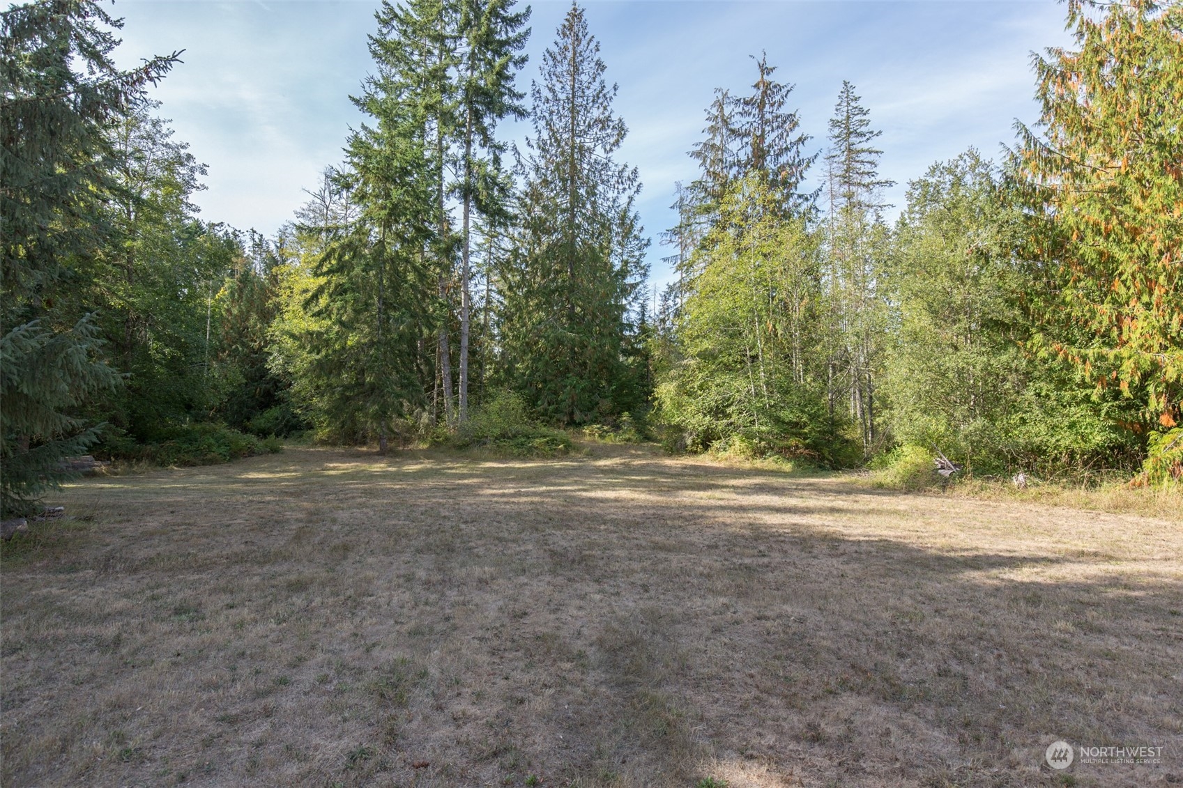197 Jay Robinson Road Sequim, WA 98382 - Photo 22 of 40 a view of a yard with a tree