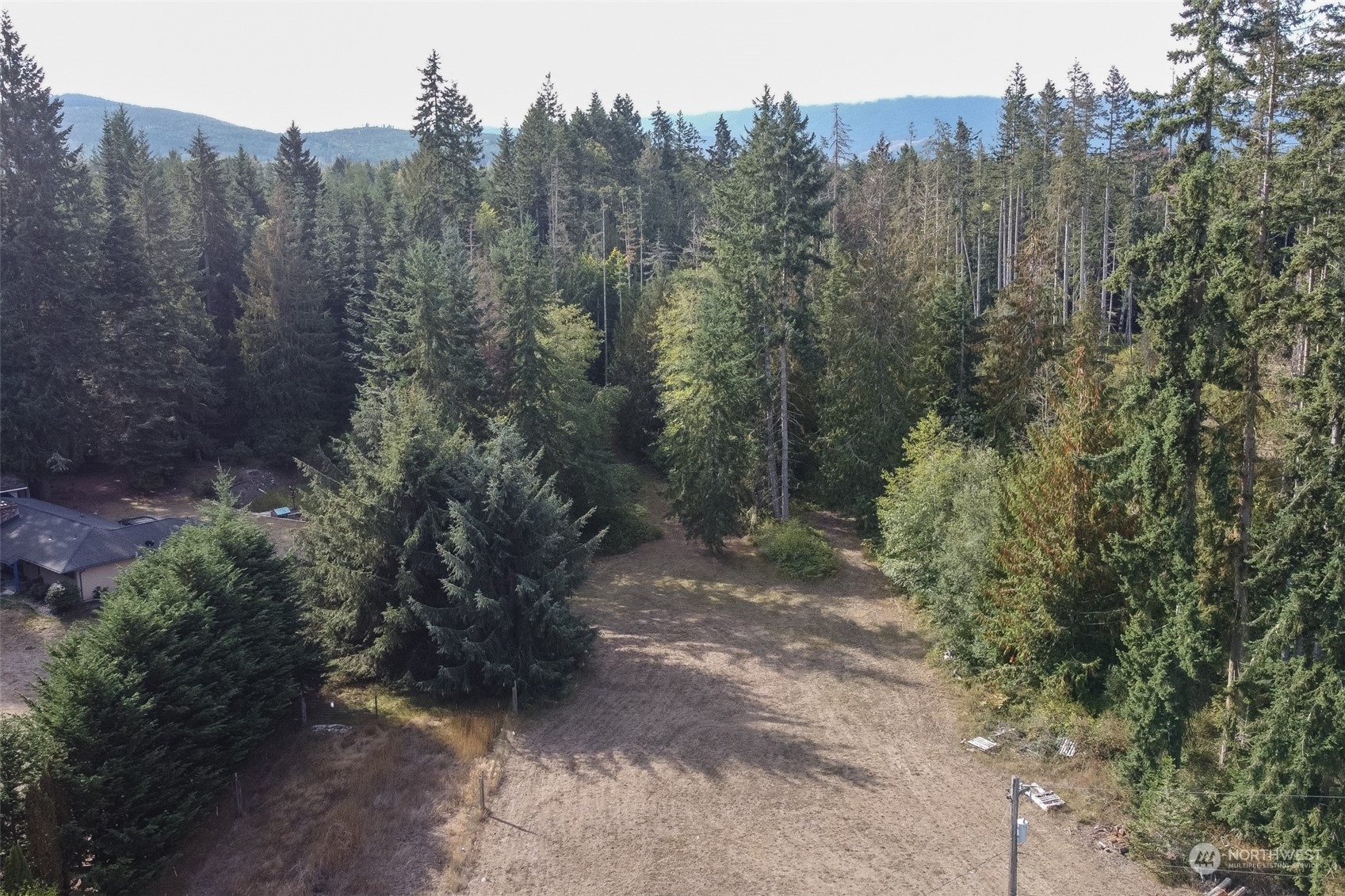 197 Jay Robinson Road Sequim, WA 98382 - Photo 28 of 40 a view of a forest with trees in the background